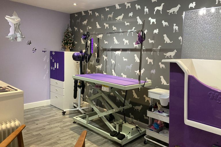 Professional Dog Grooming Service based in Stretton Warrington